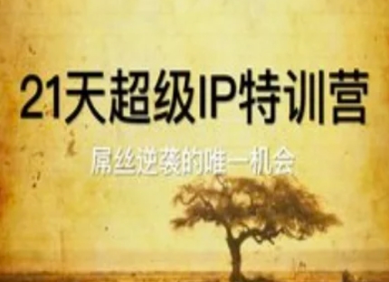 mp23155期-21天超级IP特训营，屌丝逆袭的唯一机会-多多网创