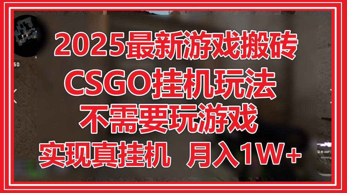 （14743期）2025最新游戏搬砖，CSGO挂机，不需要玩游戏，实现真挂机，月入1W+-多多网创