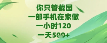 mp23162期-你只管截图，一部手机在家做，苹果安卓都可以，一天5张+-多多网创