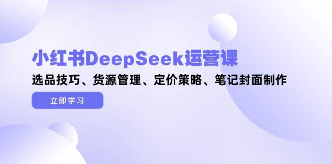 fy13678期-小红书DeepSeek运营课，选品技巧、货源管理、定价策略、笔记封面制作-多多网创