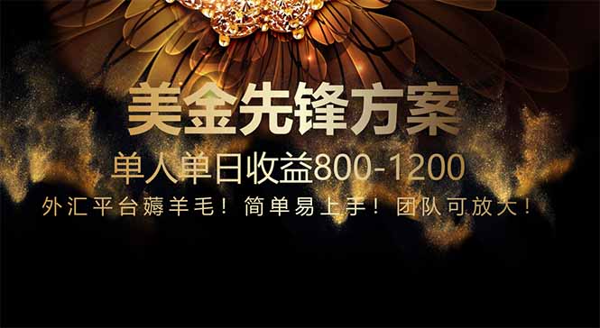 （14761期）免费技术！小众赛道！一年布局抵三年努力，每日800+-多多网创