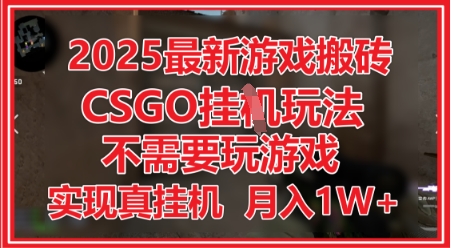 mp23351期-2025最新游戏搬砖，CSGO挂G，不需要玩游戏，实现真挂G，月入1W+-多多网创