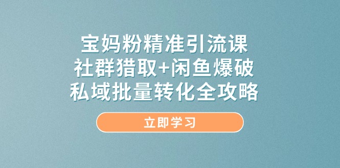 （14820期）宝妈粉精准引流课，社群猎取+闲鱼爆破，私域批量转化全攻略-多多网创