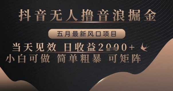 mp23753期-抖音无人撸音浪掘金，五月最新风口项目，当天见效，日收益多张，小白可做简单粗暴可矩阵-多多网创