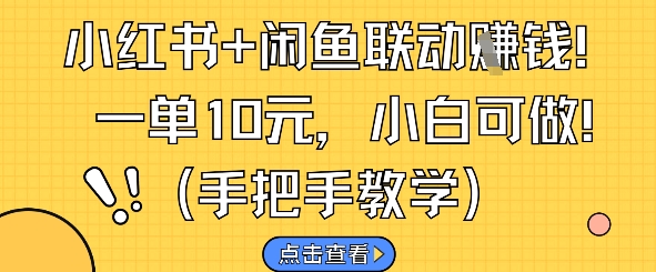 mp23847期-小红书+闲鱼联动挣钱，一单10元，小白可做-多多网创