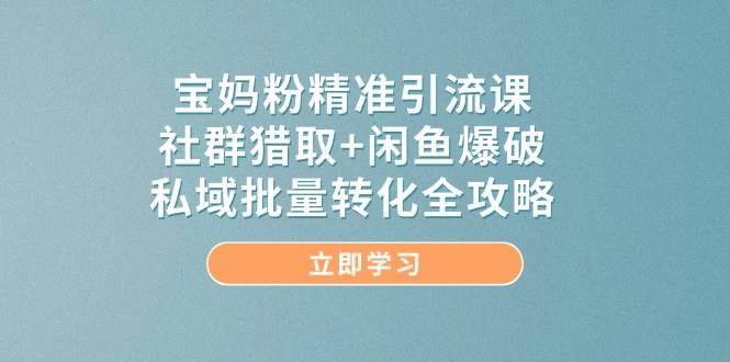 fy13855期-宝妈粉精准引流课，社群猎取+闲鱼爆破，私域批量转化全攻略-多多网创