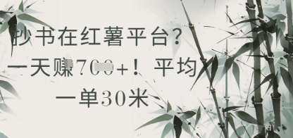 mp23865期-抄书在小红薯平台？平均一单30米，一天收益几张！-多多网创
