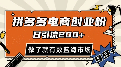 mp24055期-拼多多引流电商创业粉，日引200+，可矩阵放大，做了就有效-多多网创