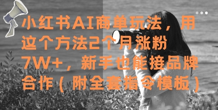mp24061期-小红书AI商单玩法，用这个方法2个月涨粉7W+，新手也能接品牌合作(附全套指令模板)-多多网创