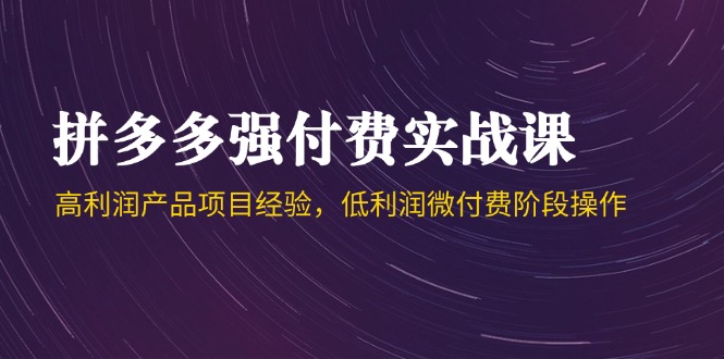 （14874期）拼多多强付费实战课-44期，高利润产品项目经验，低利润微付费阶段操作-多多网创