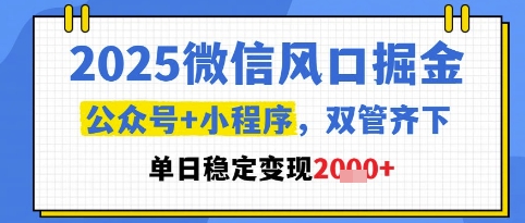 mp24377期-2025微信风口掘金，公众号+小程序双管齐下，单日稳定变现1k+-多多网创