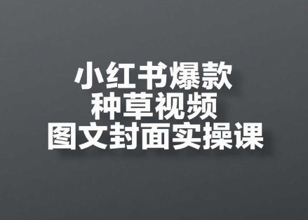 mp24381期-小红书爆款种草视频图文封面实操课，​开店、选品、引流、变现全流程-多多网创