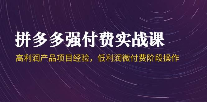 fy14068期-拼多多强付费实战课-44期，高利润产品项目经验，低利润微付费阶段操作-多多网创